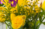 黄色玫瑰寓意和花语-怎样在送花时表达爱意或感谢？